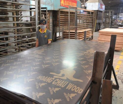 Nhà máy Hoàng Châu Plywood - Ván ép Hoàng Châu - Công Ty Cổ Phần Sản Xuất Thương Mại Hoàng Châu Plywood