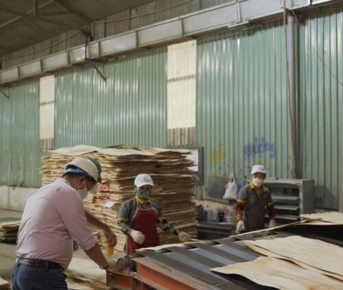 Nhà máy Hoàng Châu Plywood - Ván ép Hoàng Châu - Công Ty Cổ Phần Sản Xuất Thương Mại Hoàng Châu Plywood