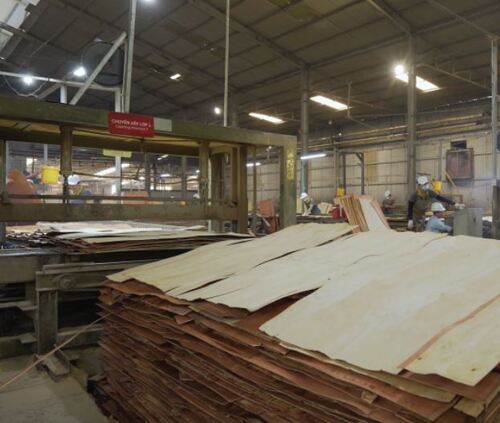 Nhà máy Hoàng Châu Plywood - Ván ép Hoàng Châu - Công Ty Cổ Phần Sản Xuất Thương Mại Hoàng Châu Plywood