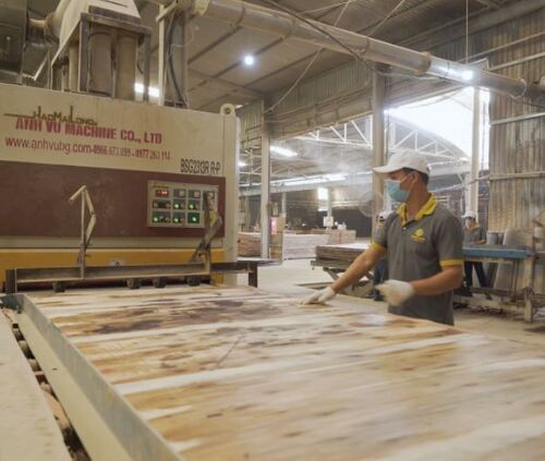 Nhà máy Hoàng Châu Plywood - Ván ép Hoàng Châu - Công Ty Cổ Phần Sản Xuất Thương Mại Hoàng Châu Plywood