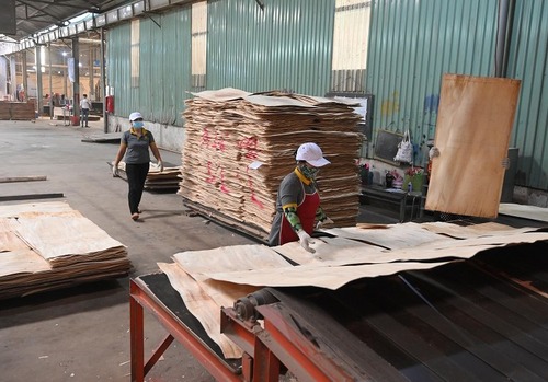 Nhà máy Hoàng Châu Plywood - Ván ép Hoàng Châu - Công Ty Cổ Phần Sản Xuất Thương Mại Hoàng Châu Plywood