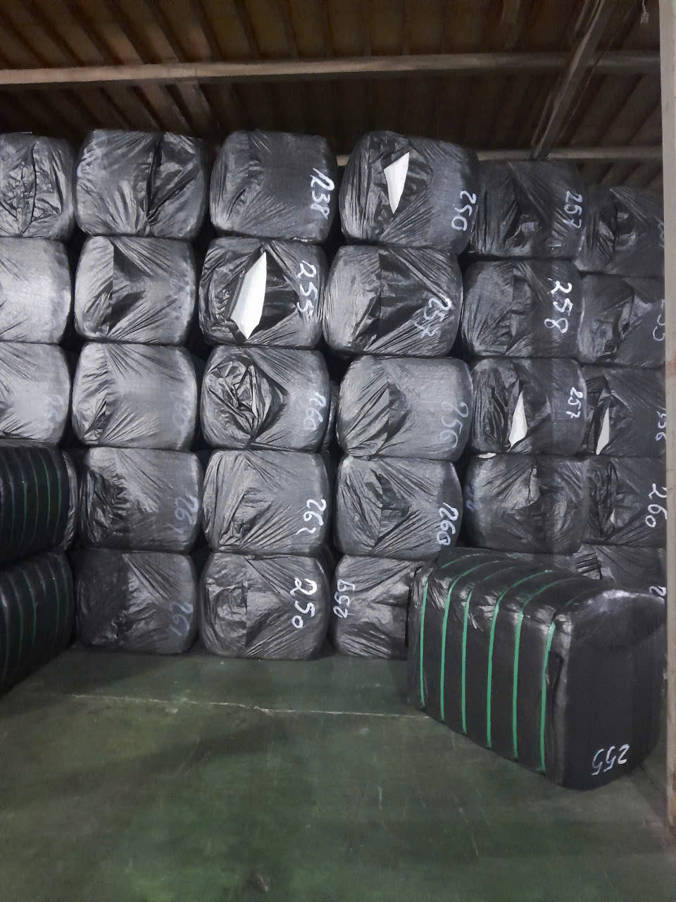 Hình ảnh công ty, nhà xưởng B&P Vina