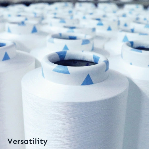 Sợi kéo có kết cấu (DTY) - Sợi Polyester H&T - Công Ty TNHH Dịch Vụ Xuất Nhập Khẩu Xây Dựng H&T