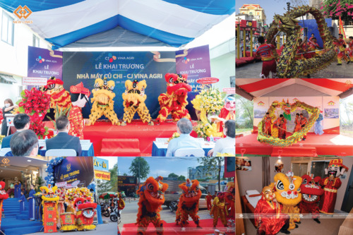 Lân sư rồng - New Links Media - Công Ty TNHH Truyền Thông New Links