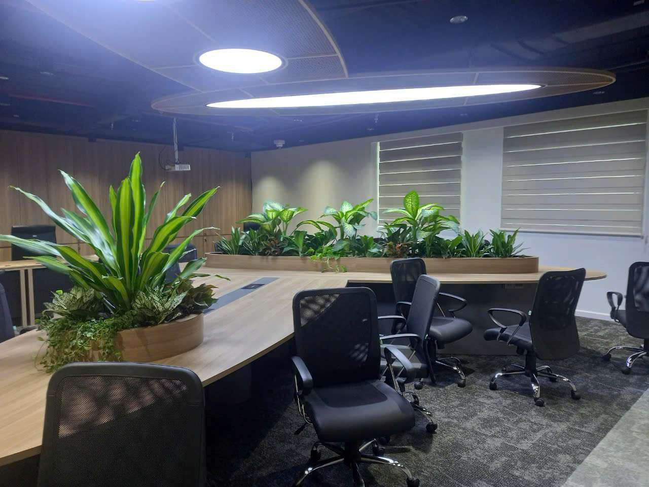 Cho thuê cây xanh văn phòng - Thiết Kế Thi Công Cảnh Quan Đại Phú - Công Ty Cổ Phần Xây Dựng Cảnh Quan Đại Phú