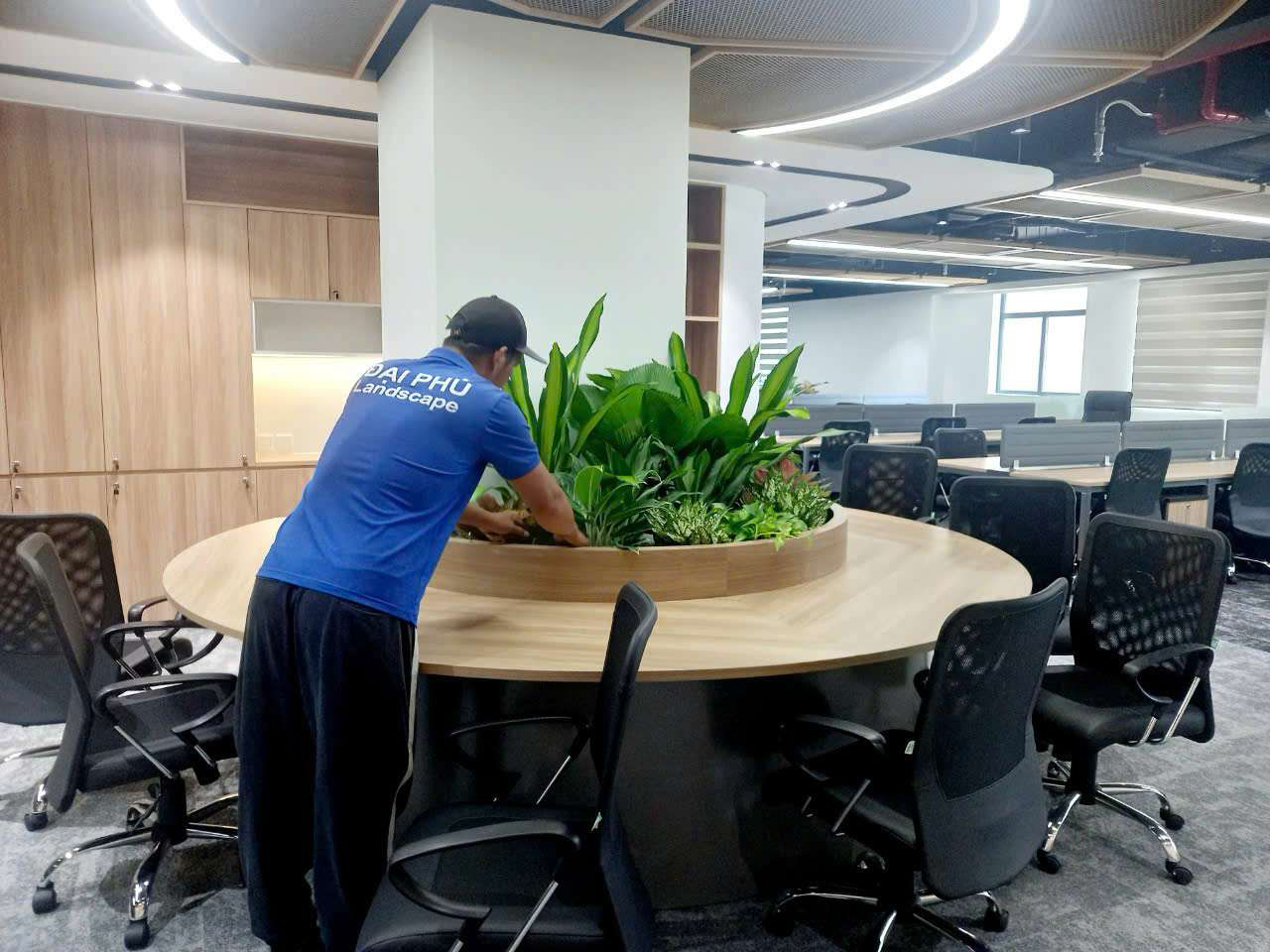 Cho thuê cây xanh văn phòng - Thiết Kế Thi Công Cảnh Quan Đại Phú - Công Ty Cổ Phần Xây Dựng Cảnh Quan Đại Phú