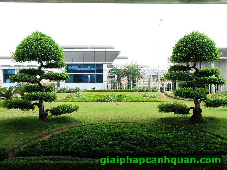 Thi công cảnh quan - Thiết Kế Thi Công Cảnh Quan Đại Phú - Công Ty Cổ Phần Xây Dựng Cảnh Quan Đại Phú