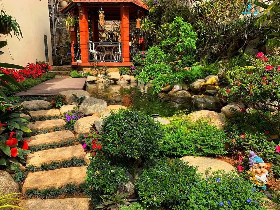 Thiết kế cảnh quan sân vườn