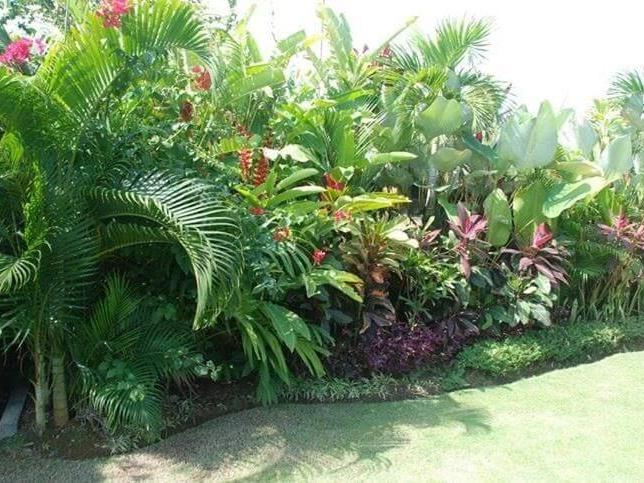 Thi công sân vườn - Thiết Kế Thi Công Cảnh Quan Đại Phú - Công Ty Cổ Phần Xây Dựng Cảnh Quan Đại Phú