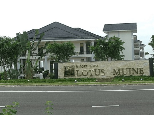 Thiết kế sân vườn - Thiết Kế Thi Công Cảnh Quan Đại Phú - Công Ty Cổ Phần Xây Dựng Cảnh Quan Đại Phú