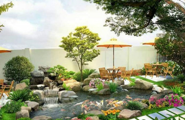 Thiết kế thi công hồ cá coi