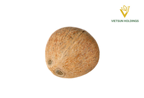 Dừa già lột vỏ hoàn toàn