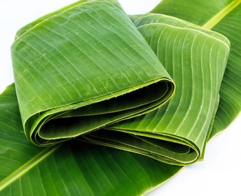 Lá chuối - Nông Sản Việt Hồng Cường - Công Ty TNHH Một Thành Viên Thương Mại Dịch Vụ Việt Hồng Cường