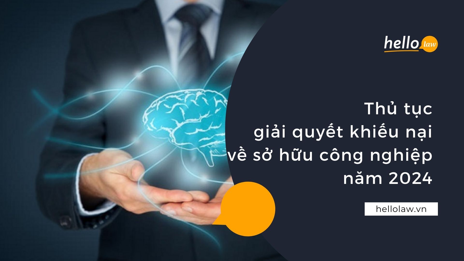 Thủ tục giải quyết khiếu nại về sở hữu công nghiệp năm 2024 - Hello Law - Văn Phòng Luật Sư Đà Nẵng