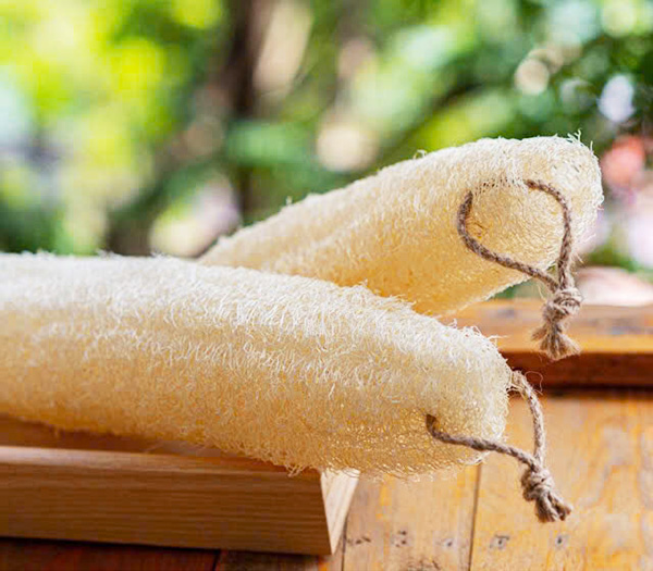 Bông tắm bằng xơ mướp