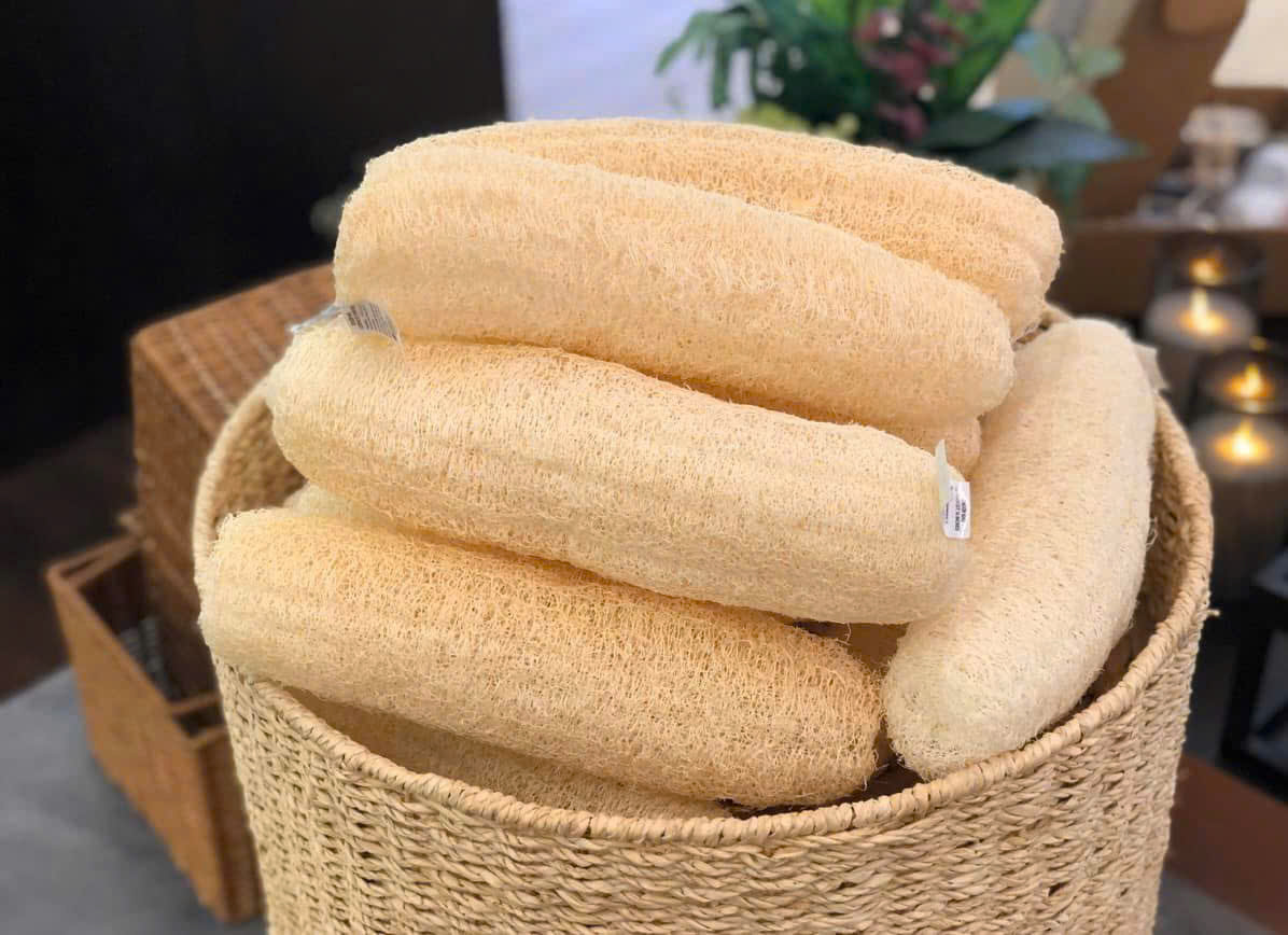 Hình ảnh khu vườn xơ mướp LUFFAVIET