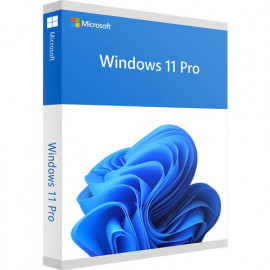 Phần mềm Win Pro 11 64-bit All Lng PK Lic Online DwnLd NR