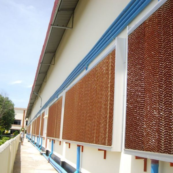 Hệ thống làm mát nhà xưởng bằng Cooling Pad
