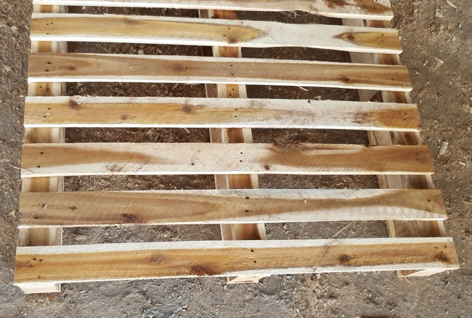 Pallet 1000x1000x140mm