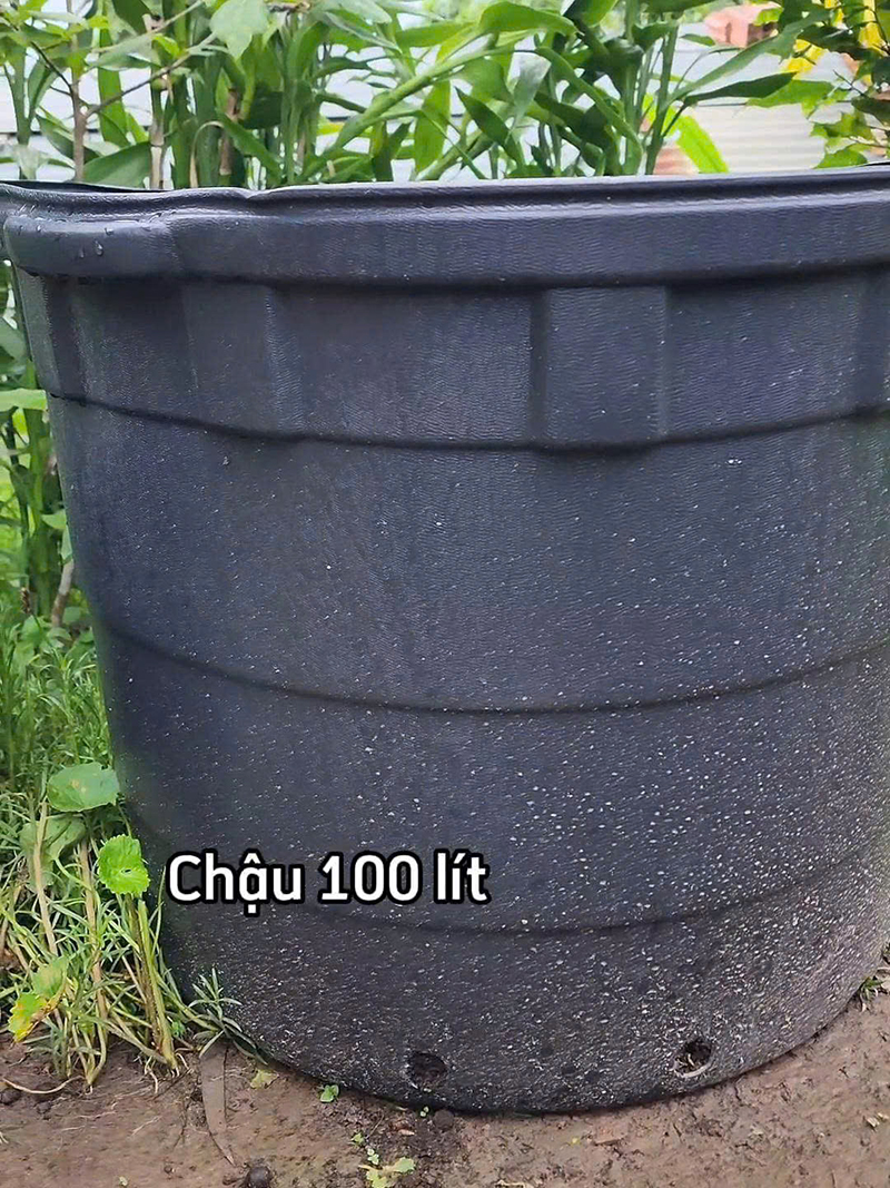 Chậu trồng cây cảnh, chậu trồng hoa - Chậu Trồng Cây Công Nghệ Môi Trường - Công Ty TNHH MTV Công Nghệ Môi Trường