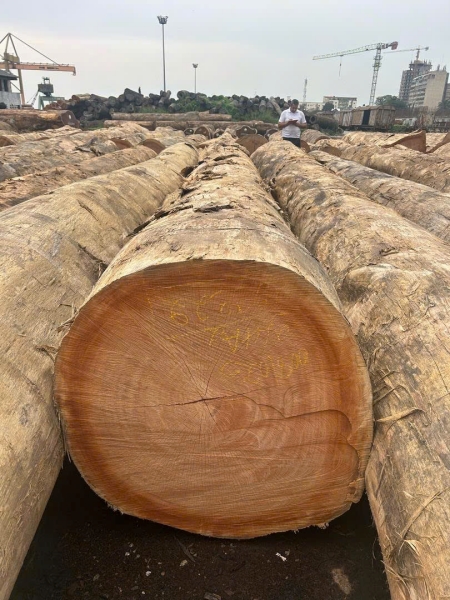 Gỗ đinh hương Bosse - Công Ty TNHH Thương Mại Và Sản Xuất Hoàng Tú