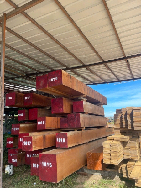 Gỗ đỏ Jatoba - Công Ty TNHH Thương Mại Và Sản Xuất Hoàng Tú