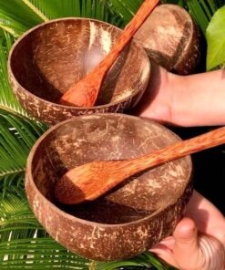 Bát gáo dừa tự nhiên bến tre