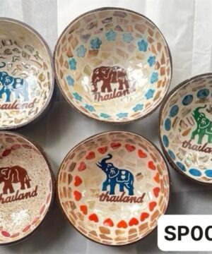 Bát dừa khảm trai voi nhiều màu