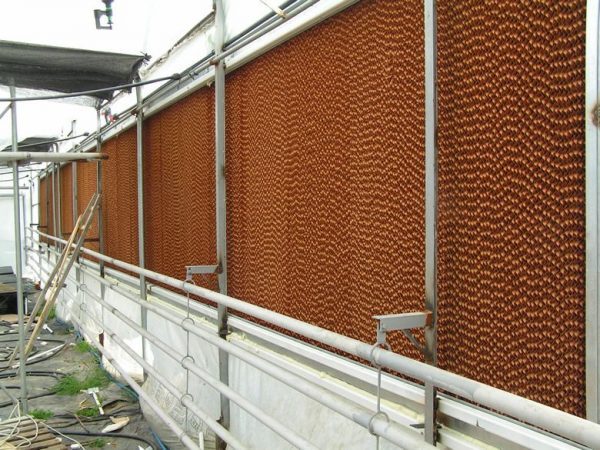 Hệ thống làm mát nhà xưởng bằng Cooling Pad