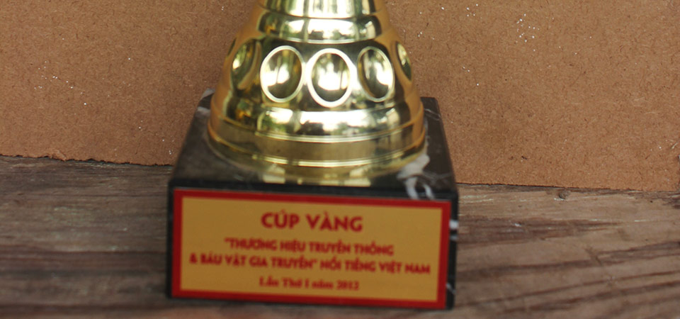 Cúp vàng thương hiệu truyền thống - Đúc Đồng Phước Kiều - Công Ty TNHH MTV TM - DV Đồng Phước Kiều