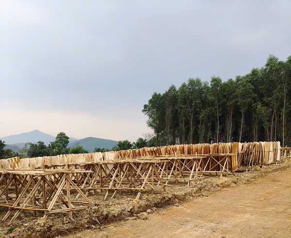 Ván bóc, ván lạng