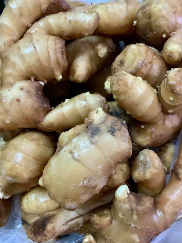 Gừng tươi