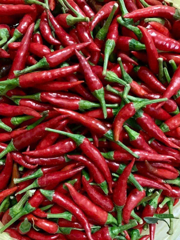 Quả ớt