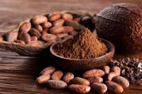 Bột cacao