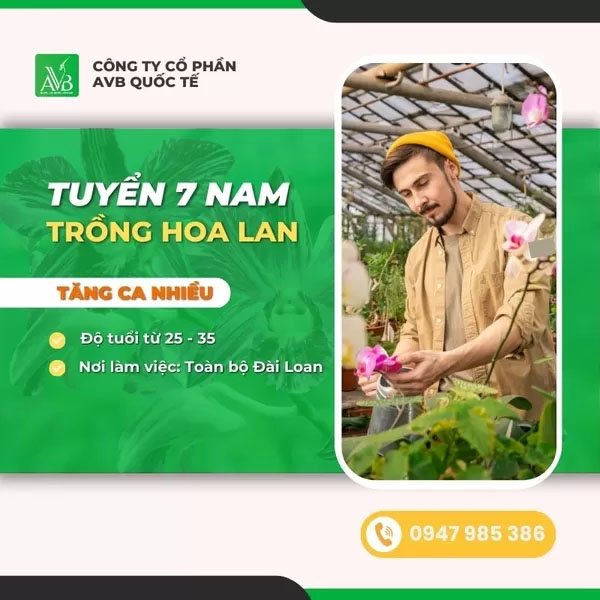 Tuyển nam trồng Hoa Lan - Du Học Và Xuất Khẩu Lao Động AVB - Công Ty Cổ Phần AVB Quốc Tế