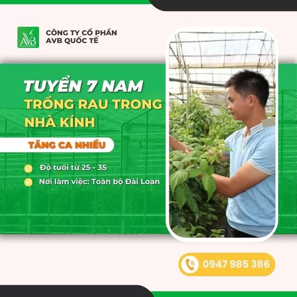 Tuyển nam trồng rau trong nhà kính - Du Học Và Xuất Khẩu Lao Động AVB - Công Ty Cổ Phần AVB Quốc Tế