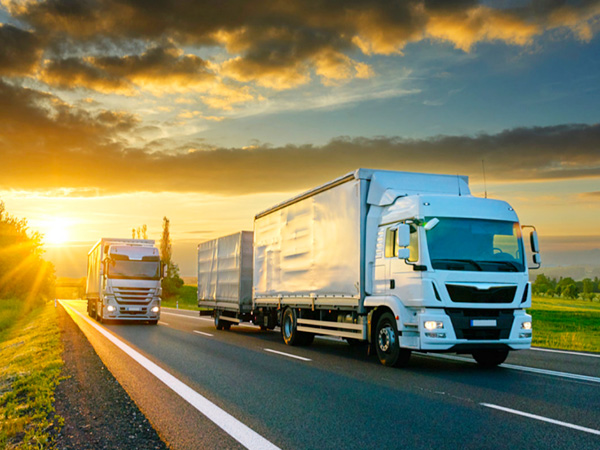 Dịch vụ vận tải hàng hóa trọn gói - Logistics Lâm Khánh Ngọc - Công Ty TNHH MTV Xuất Nhập Khẩu Lâm Khánh Ngọc