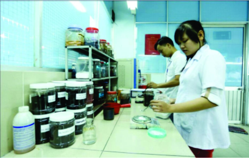 Hình ảnh nhà máy Sơn Tùng
