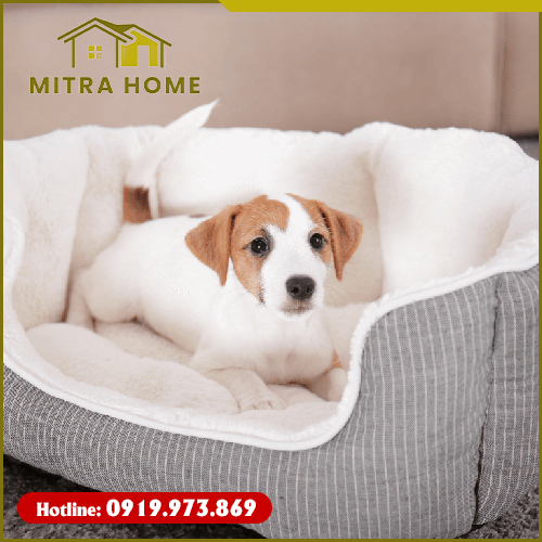 Nệm thú cưng - Nệm Ghế Mitra Home  - Công Ty TNHH Sản Xuất Thương Mại Xuất Nhập Khẩu Mitra Home