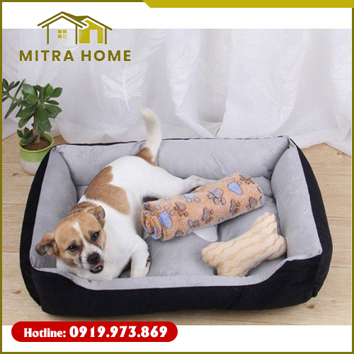 Nệm thú cưng - Nệm Ghế Mitra Home  - Công Ty TNHH Sản Xuất Thương Mại Xuất Nhập Khẩu Mitra Home