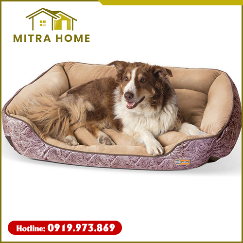 Nệm thú cưng - Nệm Ghế Mitra Home  - Công Ty TNHH Sản Xuất Thương Mại Xuất Nhập Khẩu Mitra Home