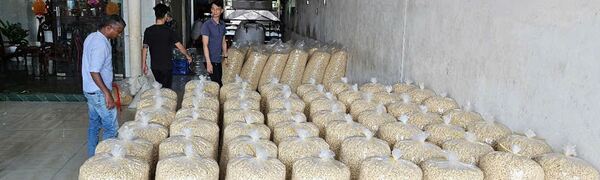 Công ty Việt Nhật
