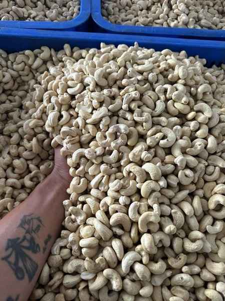 Hạt điều rang than nguyên vỏ size trung bình