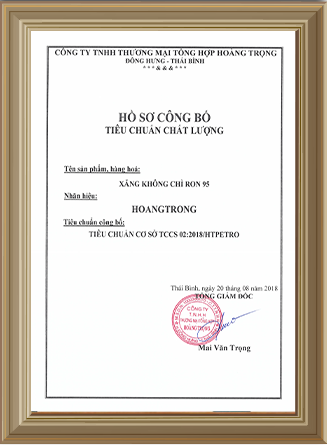  - Xăng Dầu Hoàng Trọng - Công Ty TNHH Thương Mại Tổng Hợp Hoàng Trọng
