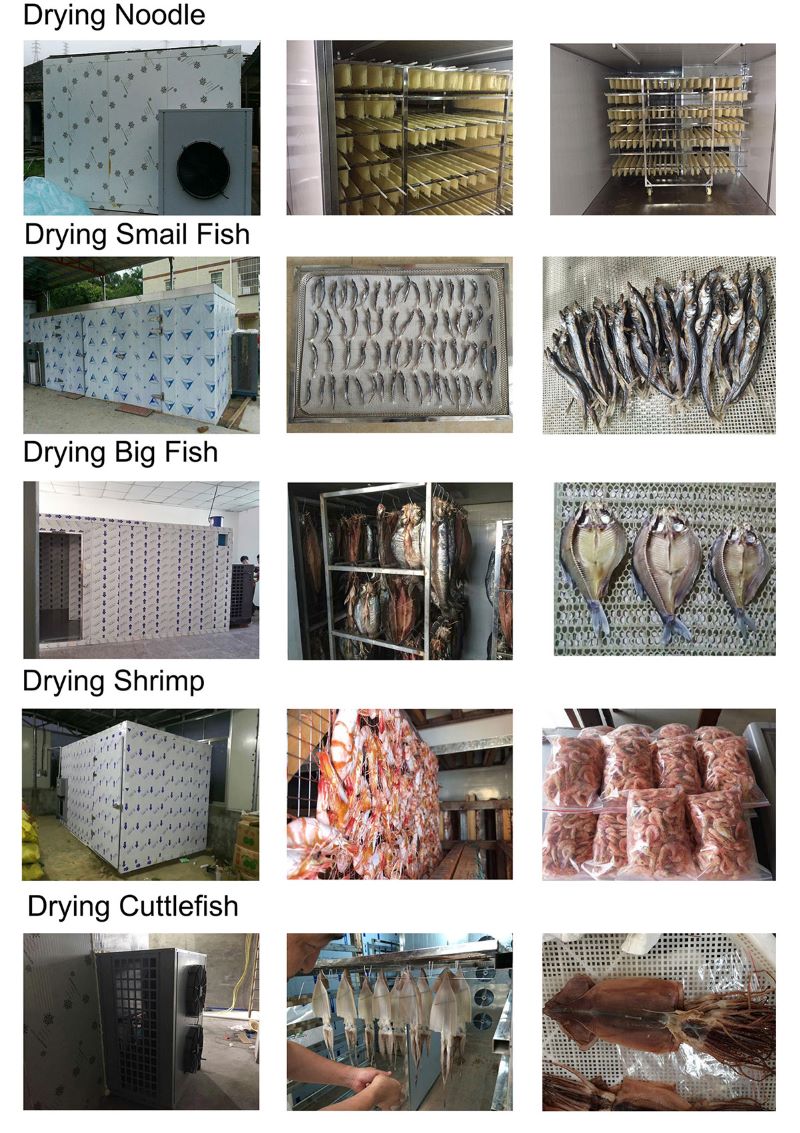Dự án