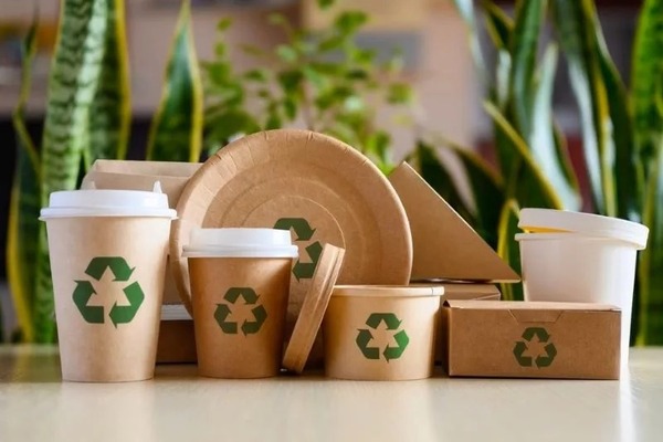 Ly giấy - Sản Phẩm Giấy Ecore Việt Nam - Công Ty TNHH Ecore Việt Nam