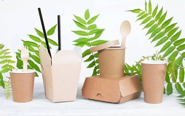 Ly giấy - Sản Phẩm Giấy Ecore Việt Nam - Công Ty TNHH Ecore Việt Nam