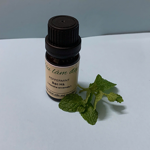 Tinh dầu bạc hà - Tinh Dầu Green QA - Công Ty TNHH Green QA Việt Nam