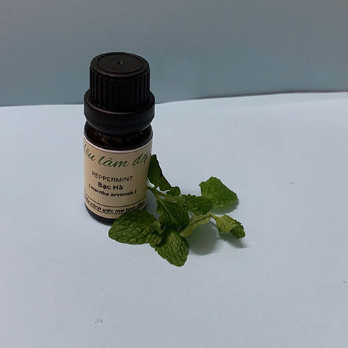 Tinh dầu bạc hà - Tinh Dầu Green QA - Công Ty TNHH Green QA Việt Nam