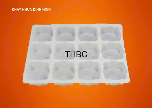 Khay nhựa định hình